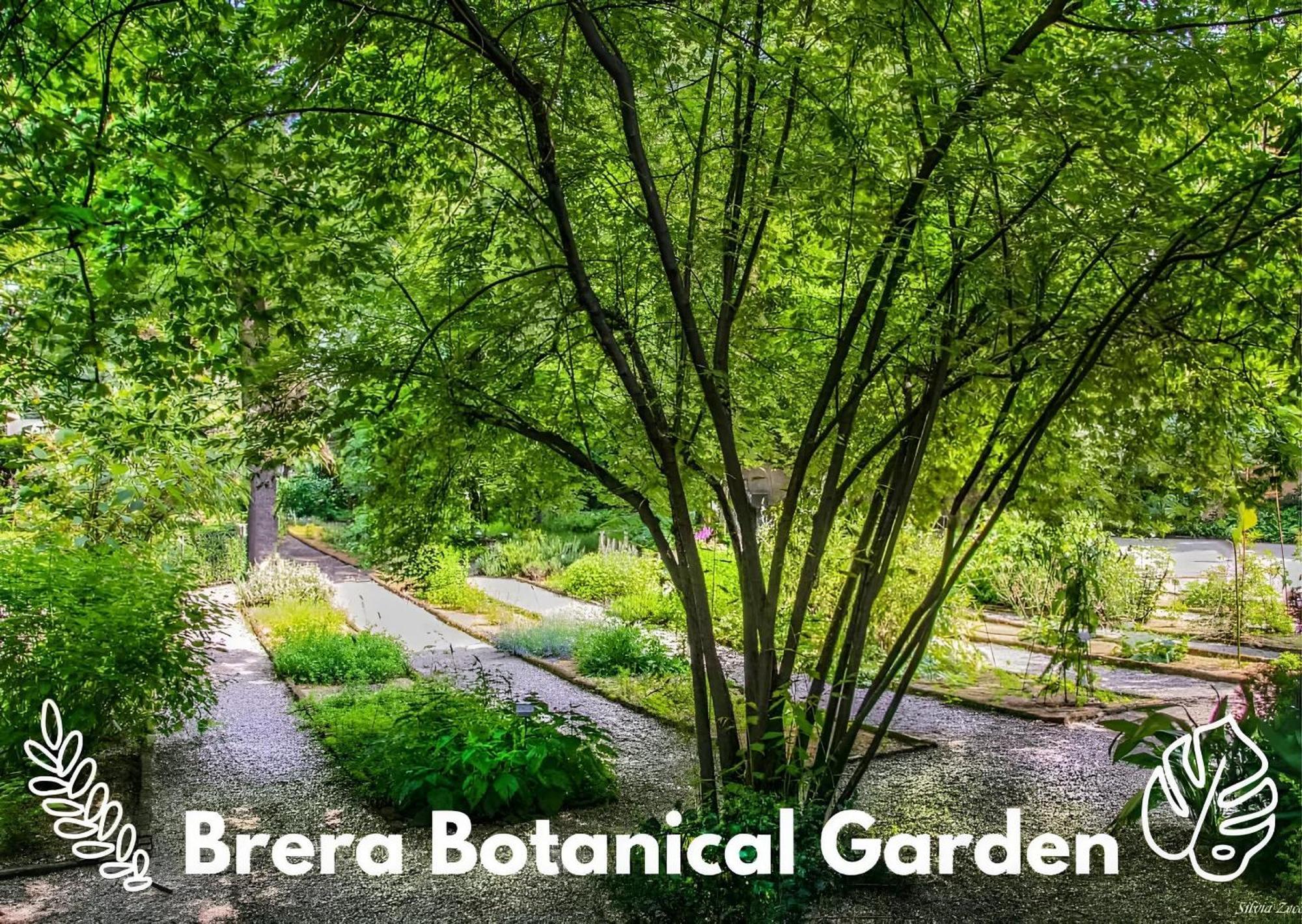Апартаменти Brera Vip Spotlight - Brera - Duomo - Castello Sforzesco - Lanza Metro M2 Мілан Екстер'єр фото